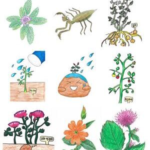 자생식물 씨앗나눔 프로젝트