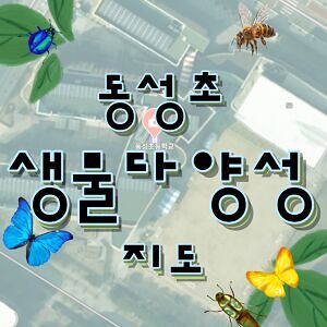 2026. 음성 동성초등학교 생물 다양성 지도
