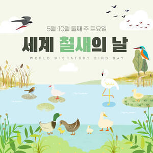 2026 마전중 아이브랜드 동아리 ‘세계 철새의 날 기념’ 내 주변 새 관찰