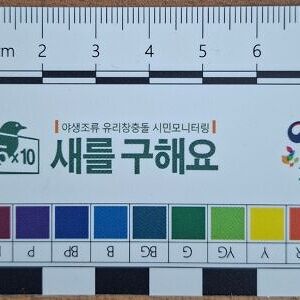 인천화도진중_Brid-Safe생태탐정단