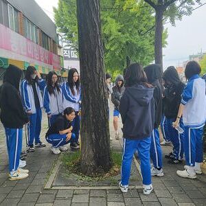 석정여고 가로수 프로젝트