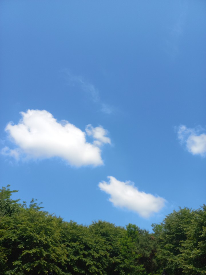 박재연