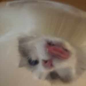 신윤우